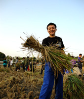 農業体験ツアー「田舎日記」で、古代米を収穫